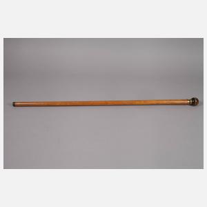 Spazierstock Tigerauge