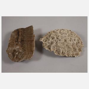 Gesteins- und Mineraliensammlung