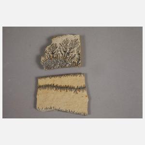 Gesteins- und Mineraliensammlung