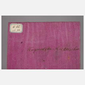 Marienikone im Oklad