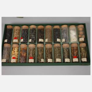 Historische Drogenlehrsammlung