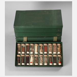 Historische Drogenlehrsammlung
