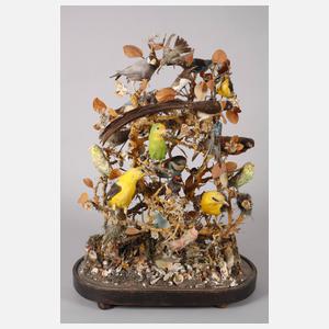 Historisches Tierpräparat