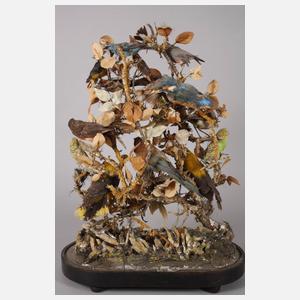 Historisches Tierpräparat