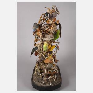 Historisches Tierpräparat