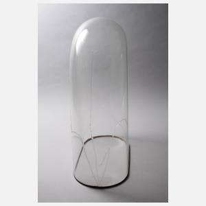 Historisches Tierpräparat