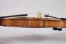 Violine