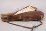 Violine im Etui