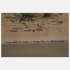 Liste der Regenten des Kaiserhauses Habsburg