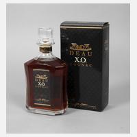 Flasche Cognac111
