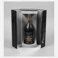 Flasche Cognac111