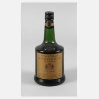 Flasche Cognac111