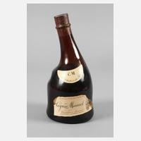 Flasche Cognac111