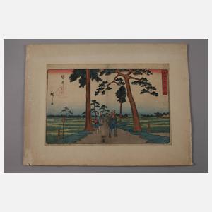 Konvolut Farbholzschnitte