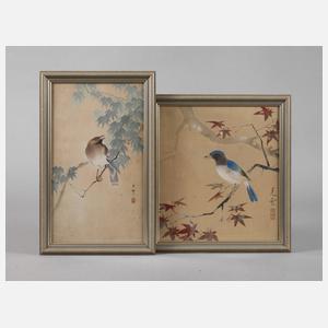 Zwei Vogeldarstellungen