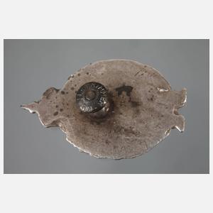 Abzeichen für Marineflieger