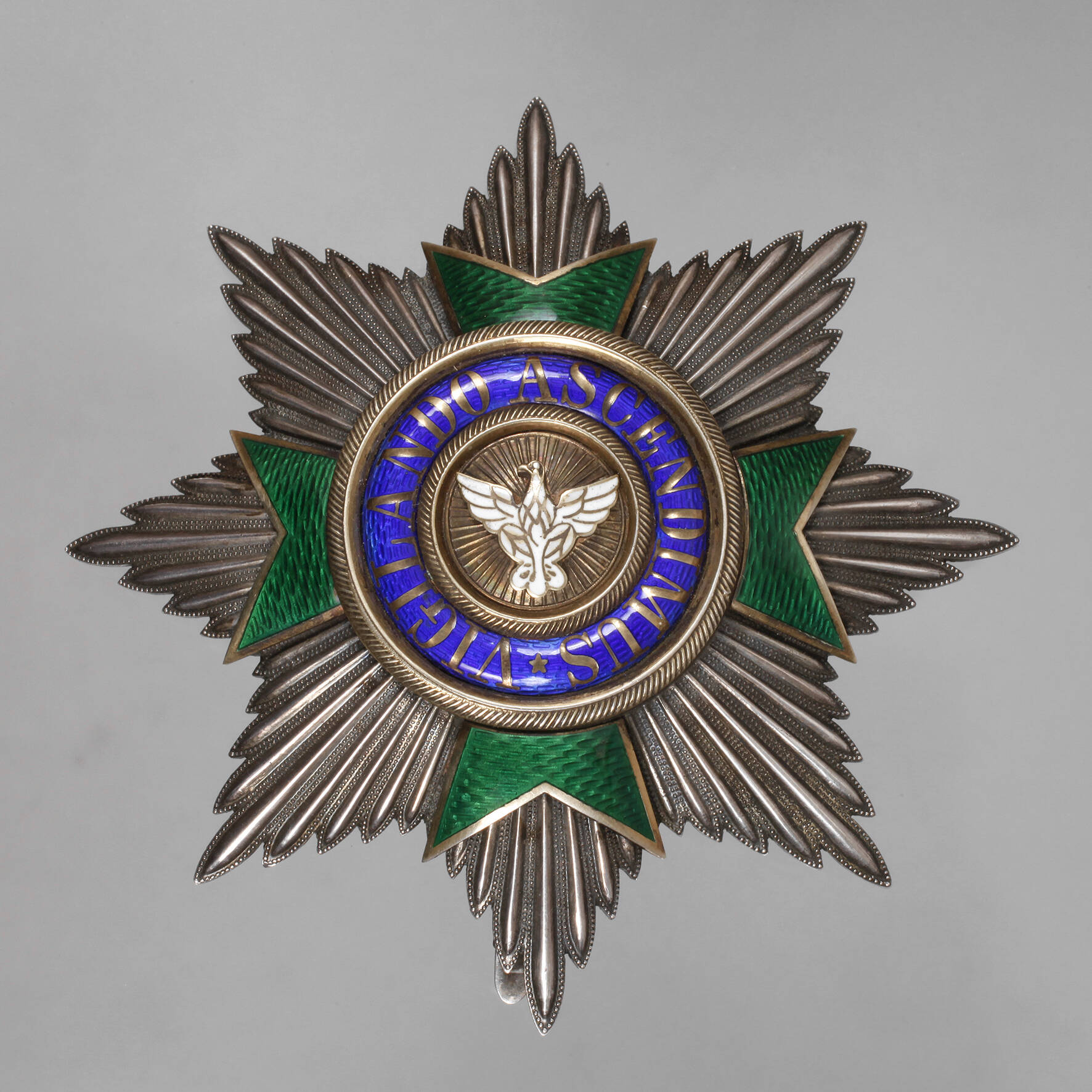 Hausorden vom Weißen Falken, Bruststern zum Großkreuz