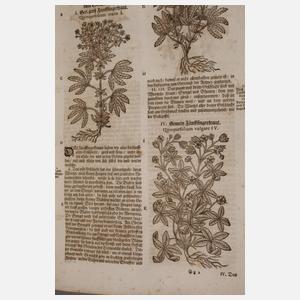 Neu Vollkommen Kräuter-Buch