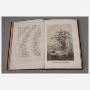 Reise in das Gebiet des Weißen Nil