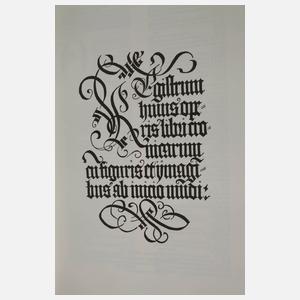 Registrum Huius Operis libri cronicarum