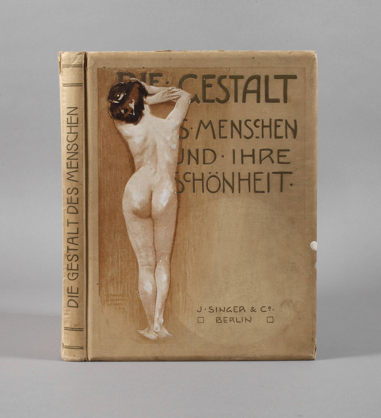 Die Gestalt des Menschen und ihre Schönheit