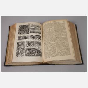 Meyers großes Konversationslexikon