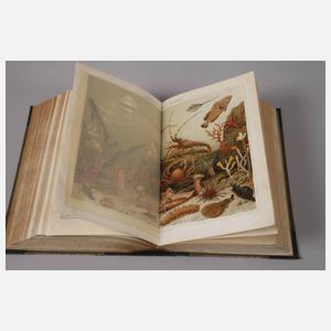 Meyers großes Konversationslexikon