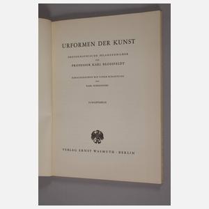 Urformen der Kunst