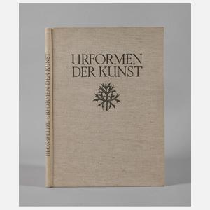 Urformen der Kunst