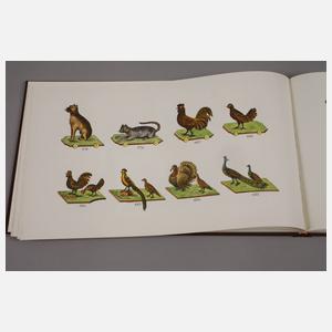 Zwei Fachbücher historisches Spielzeug