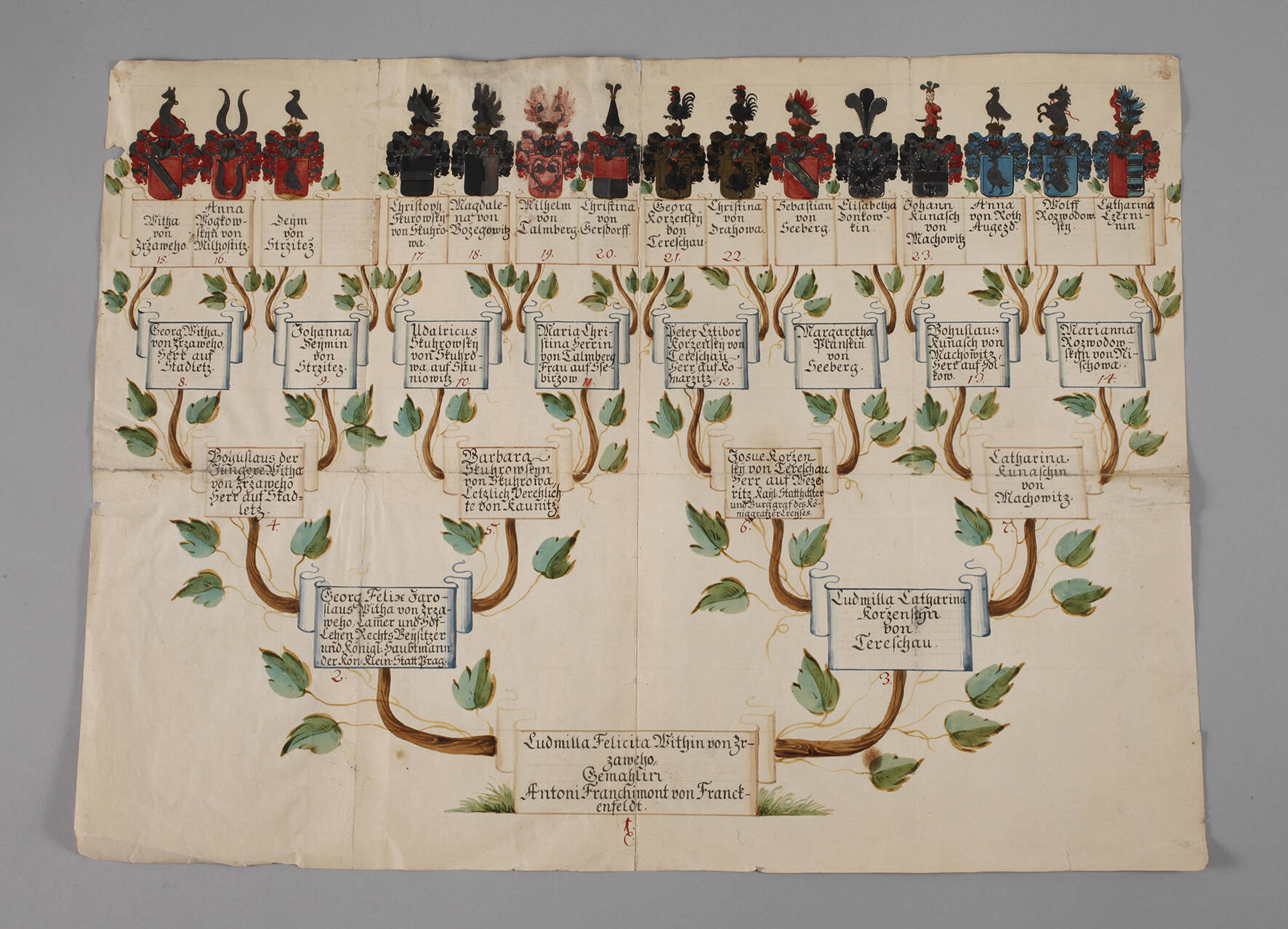 Stammbaum böhmischer Adel