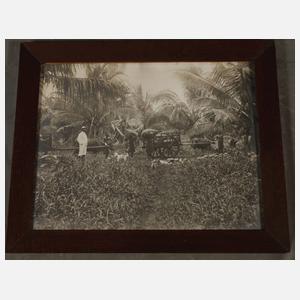 Fotografien Afrika aus der Kolonialzeit