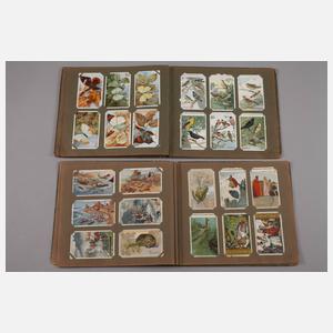 Zwei Alben Kaufmannsbilder Palmin