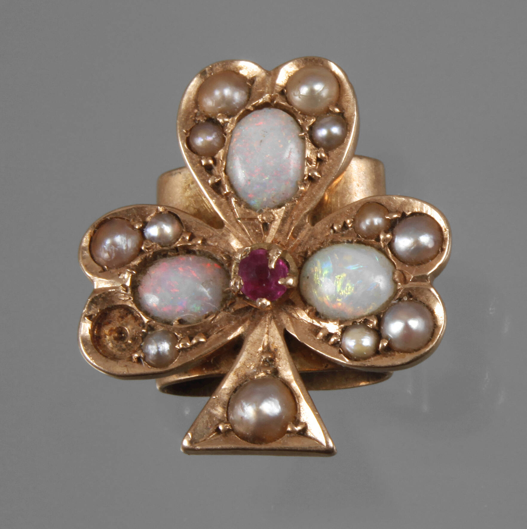 Feiner Kettenschieber