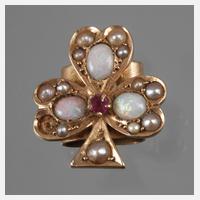 Feiner Kettenschieber111