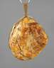 Großer Bernsteinanhänger