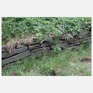 Theumaer Trockenmauer