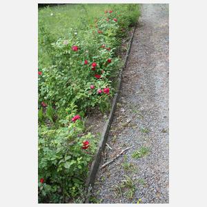 Beet-Einfassung Naturstein