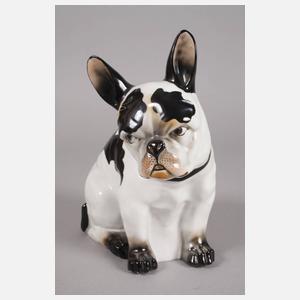 Galluba & Hofmann Ilmenau Französische Bulldogge