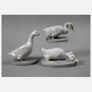 Heubach Lichte drei Enten