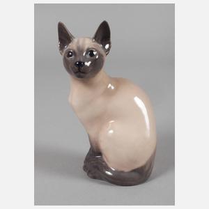 Kopenhagen Siamkatze