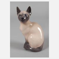 Kopenhagen Siamkatze111