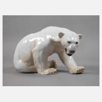 Kopenhagen Eisbär111