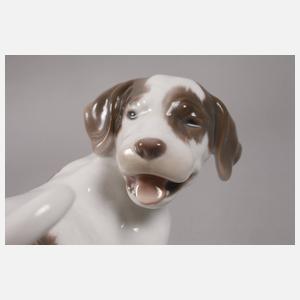 Kopenhagen Pointerwelpe