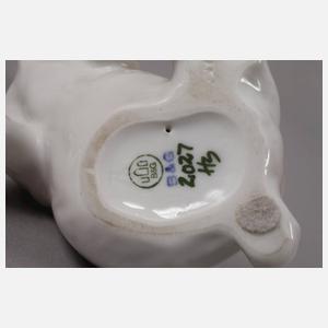 Kopenhagen Foxterrierwelpe