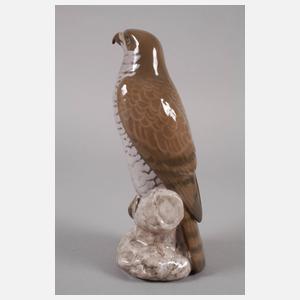 Kopenhagen "Großer Falke"