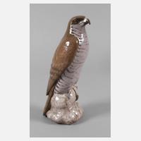 Kopenhagen "Großer Falke"111