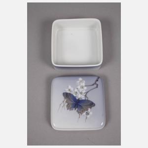 Kopenhagen Schale und Dose Schmetterlingsdekor
