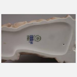 Kopenhagen Langhaarcollie