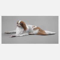 Kopenhagen lebensgroßer "Japanischer Tchin"111